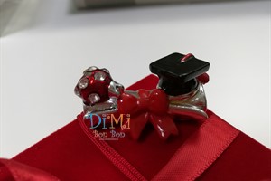 Applicazione laurea coccinella