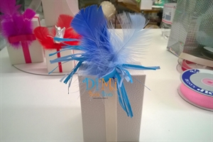 Confezionamento con piume azzurre e blu