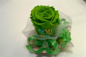 Rosa stabilizzata verde su piattino in ceramica rosa